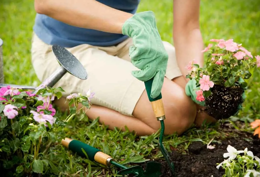 Gardening